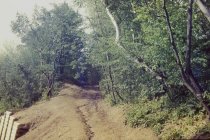 Looking up old beach road from new road